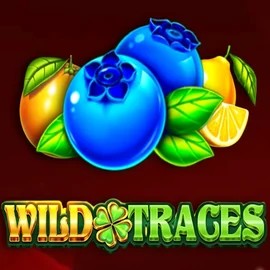 Official Slots logo: Wild Traces by Amusnet Interactive at Sankra Casino